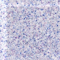 173